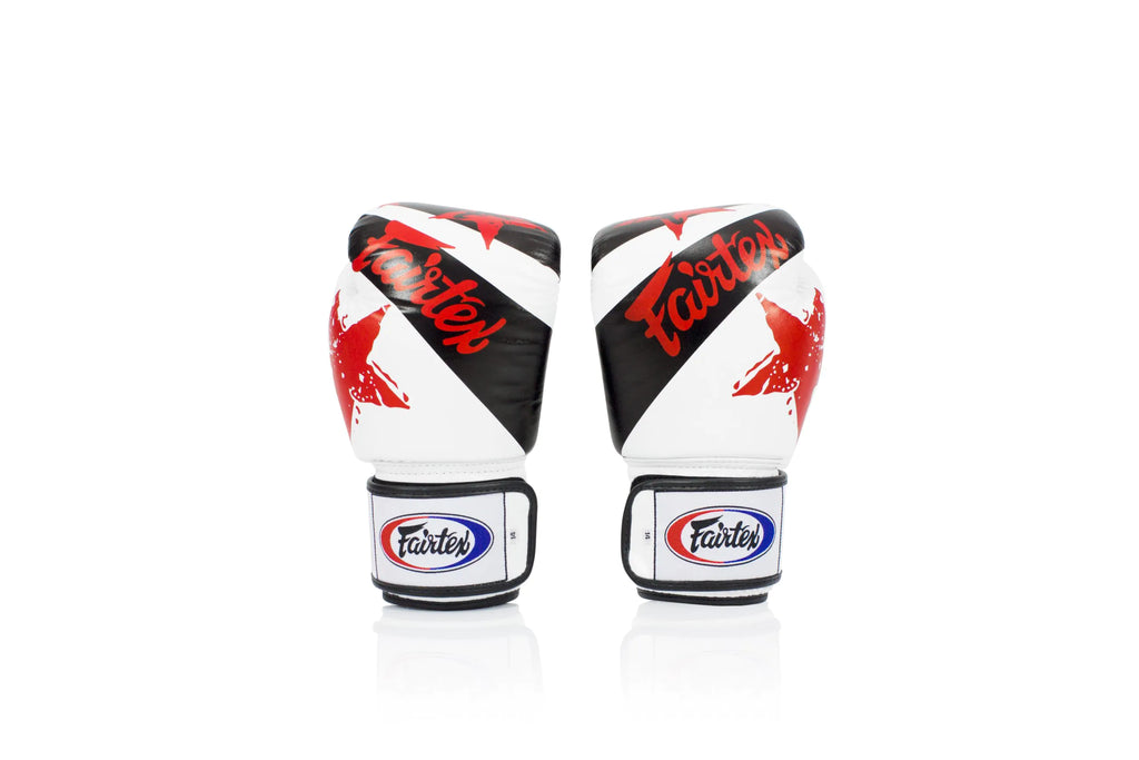 Fairtex Muay Thai Boxing Gloves BGV1