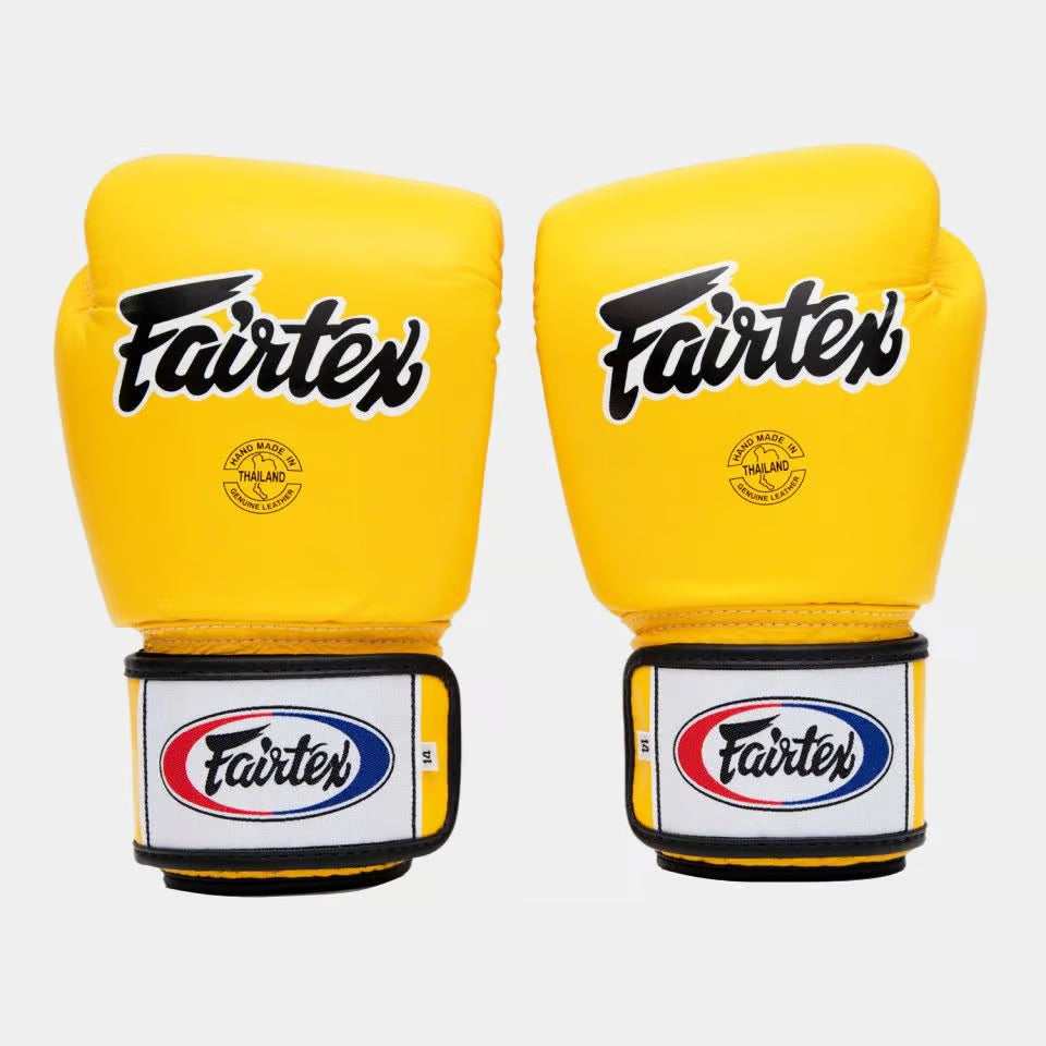 Fairtex Muay Thai Boxing Gloves BGV1