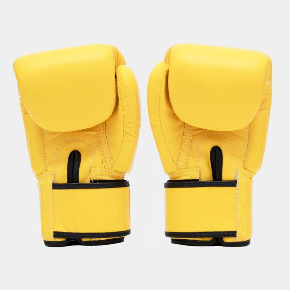Fairtex Muay Thai Boxing Gloves BGV1