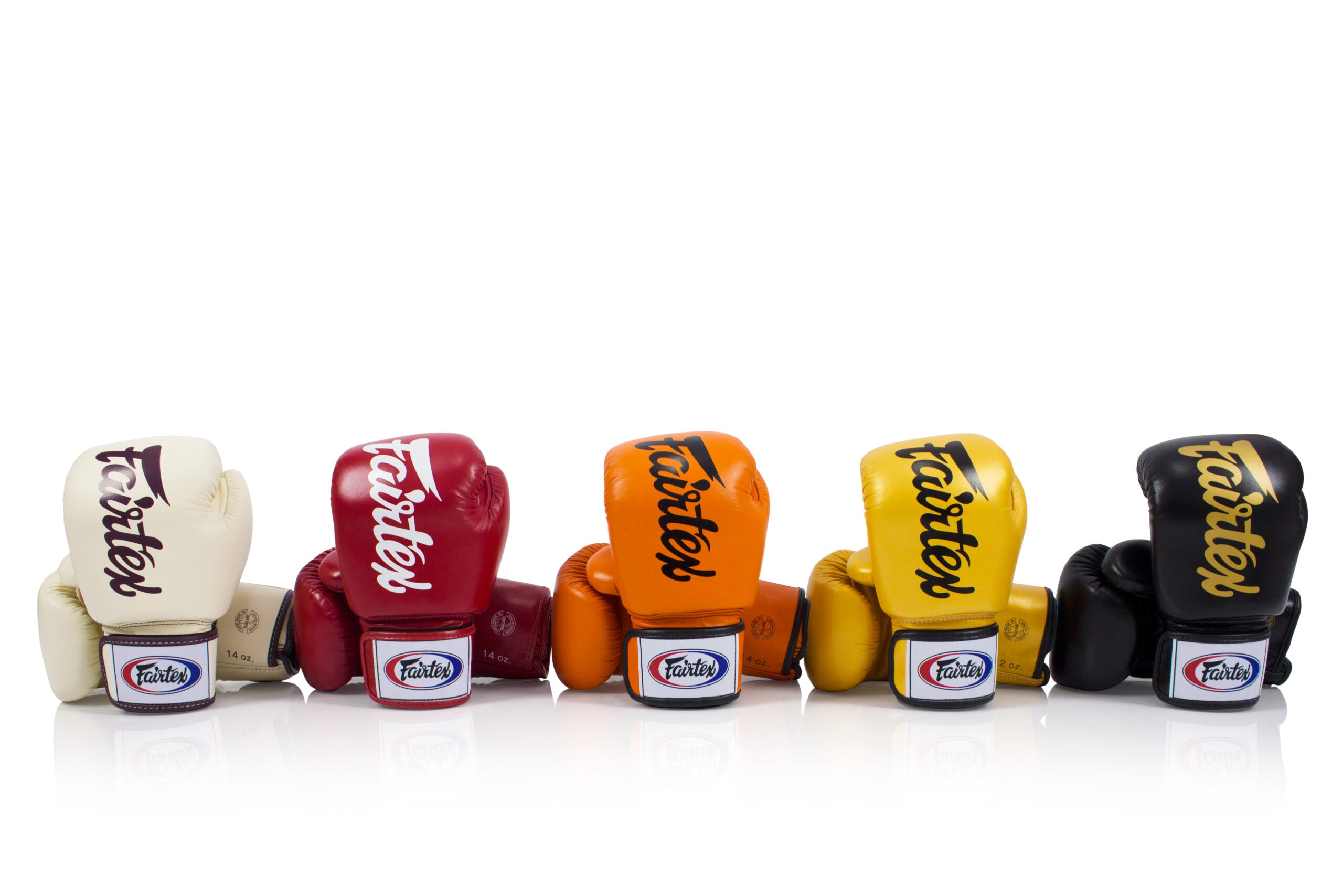Fairtex Deluxe Muay Thai Boxing Gloves BGV19