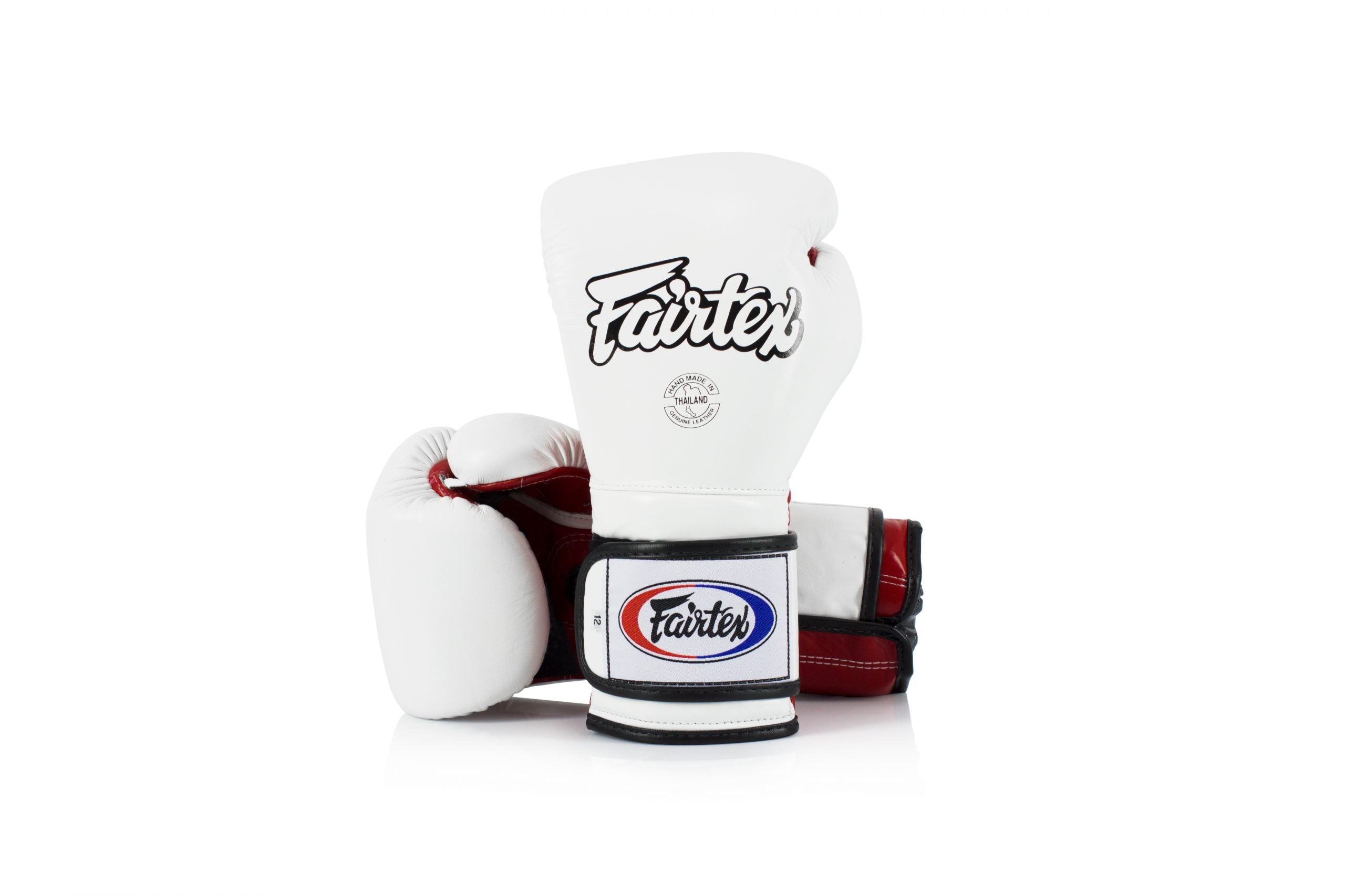 Fairtex Mexican Style Pro Training Gloves BGV9