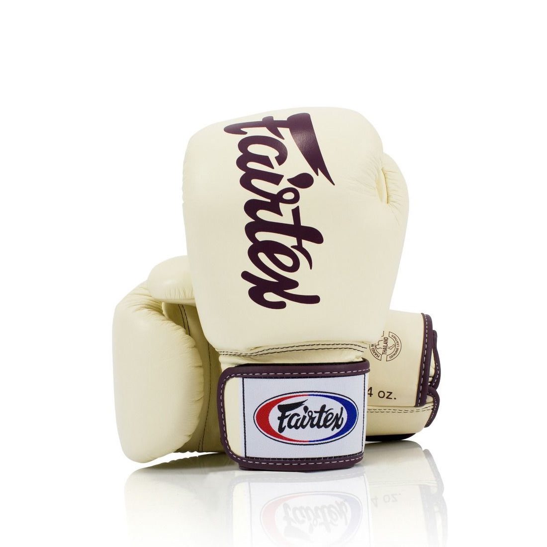 Fairtex Deluxe Muay Thai Boxing Gloves BGV19