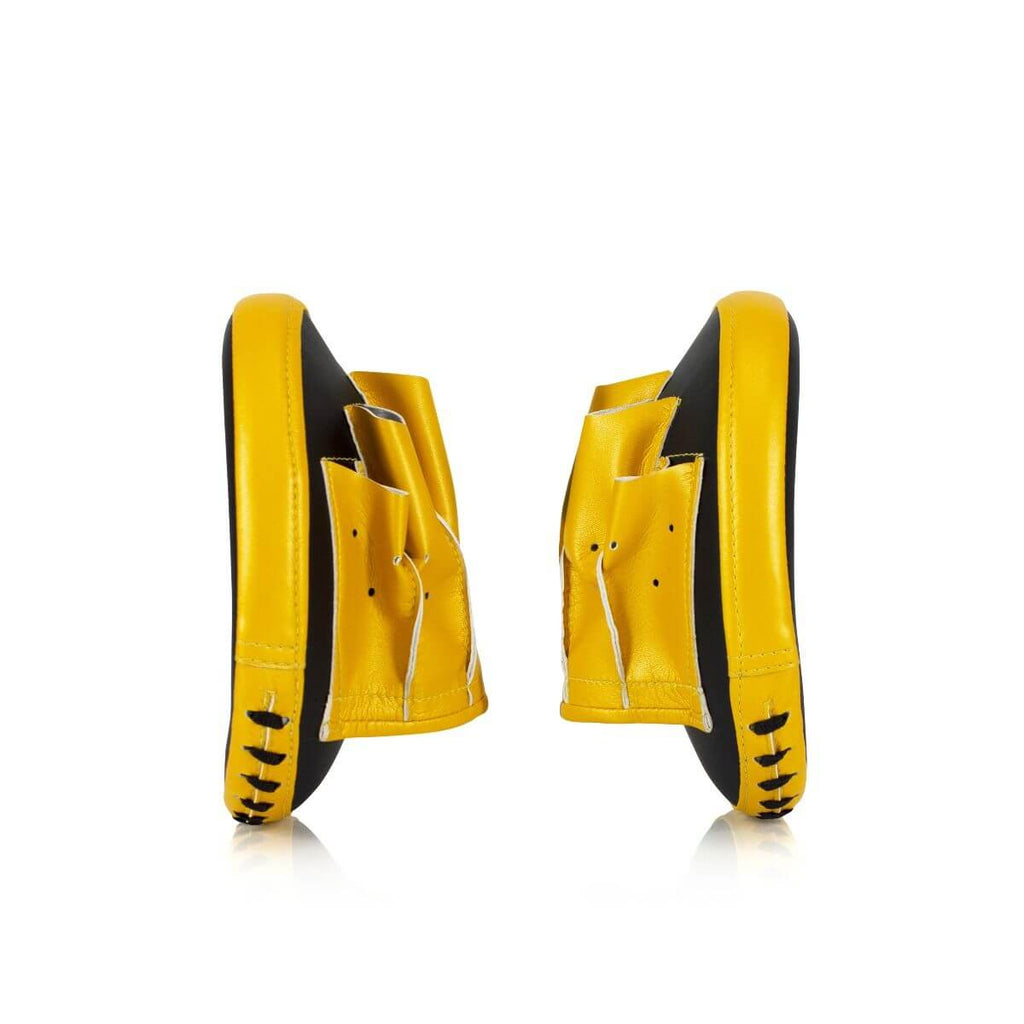 Fairtex Speed & Accuracy Focus Mitts FMV15 Black / Gold