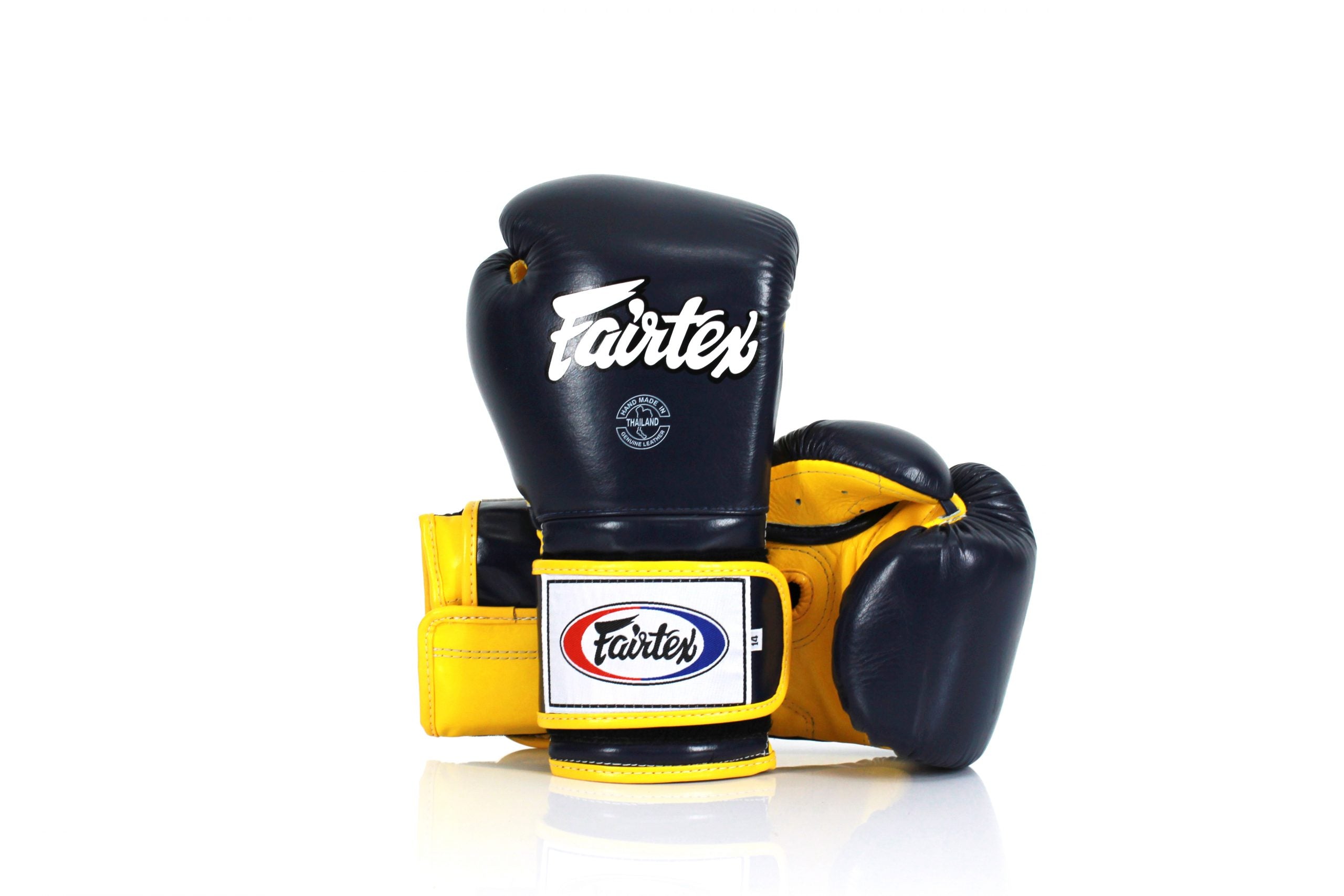Fairtex Mexican Style Pro Training Gloves BGV9