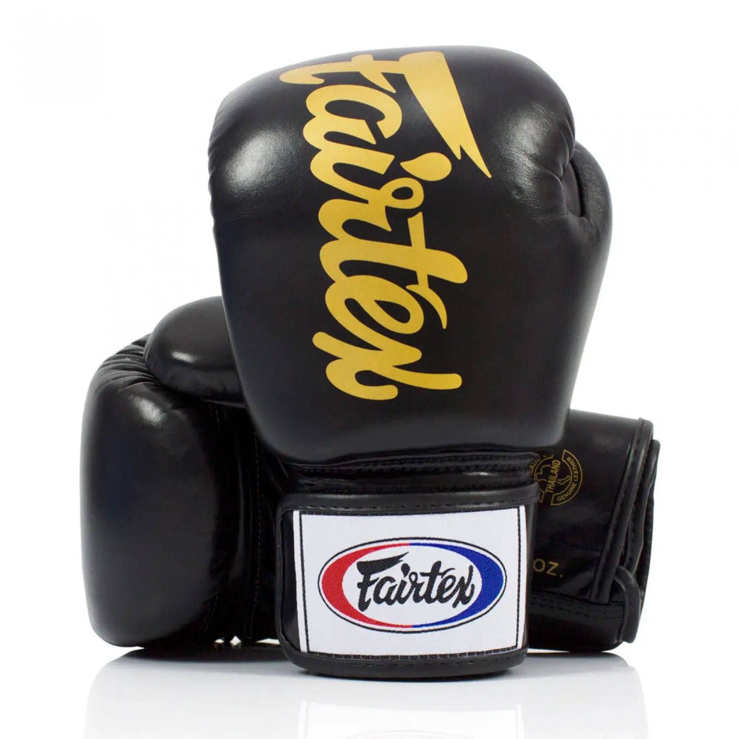 Fairtex Deluxe Muay Thai Boxing Gloves BGV19