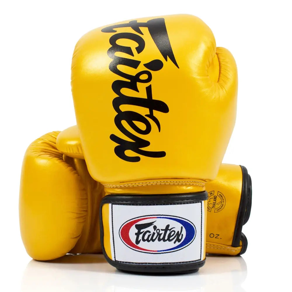 Fairtex Deluxe Muay Thai Boxing Gloves BGV19