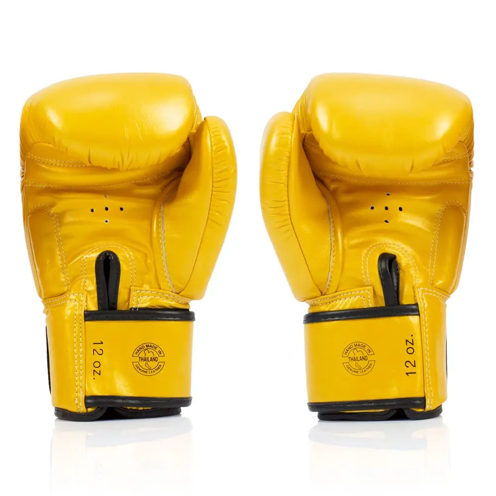 Fairtex Deluxe Muay Thai Boxing Gloves BGV19