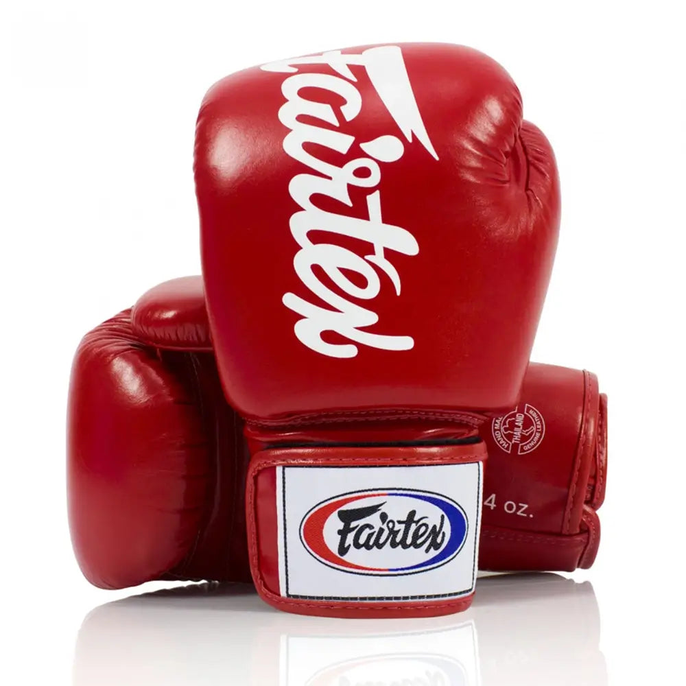 Fairtex Deluxe Muay Thai Boxing Gloves BGV19