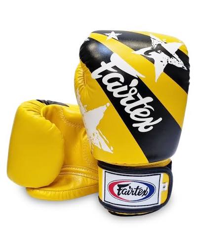 Fairtex Muay Thai Boxing Gloves BGV1